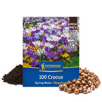 Mega-Pack Gartenkrokusse Mischung Spring Bells