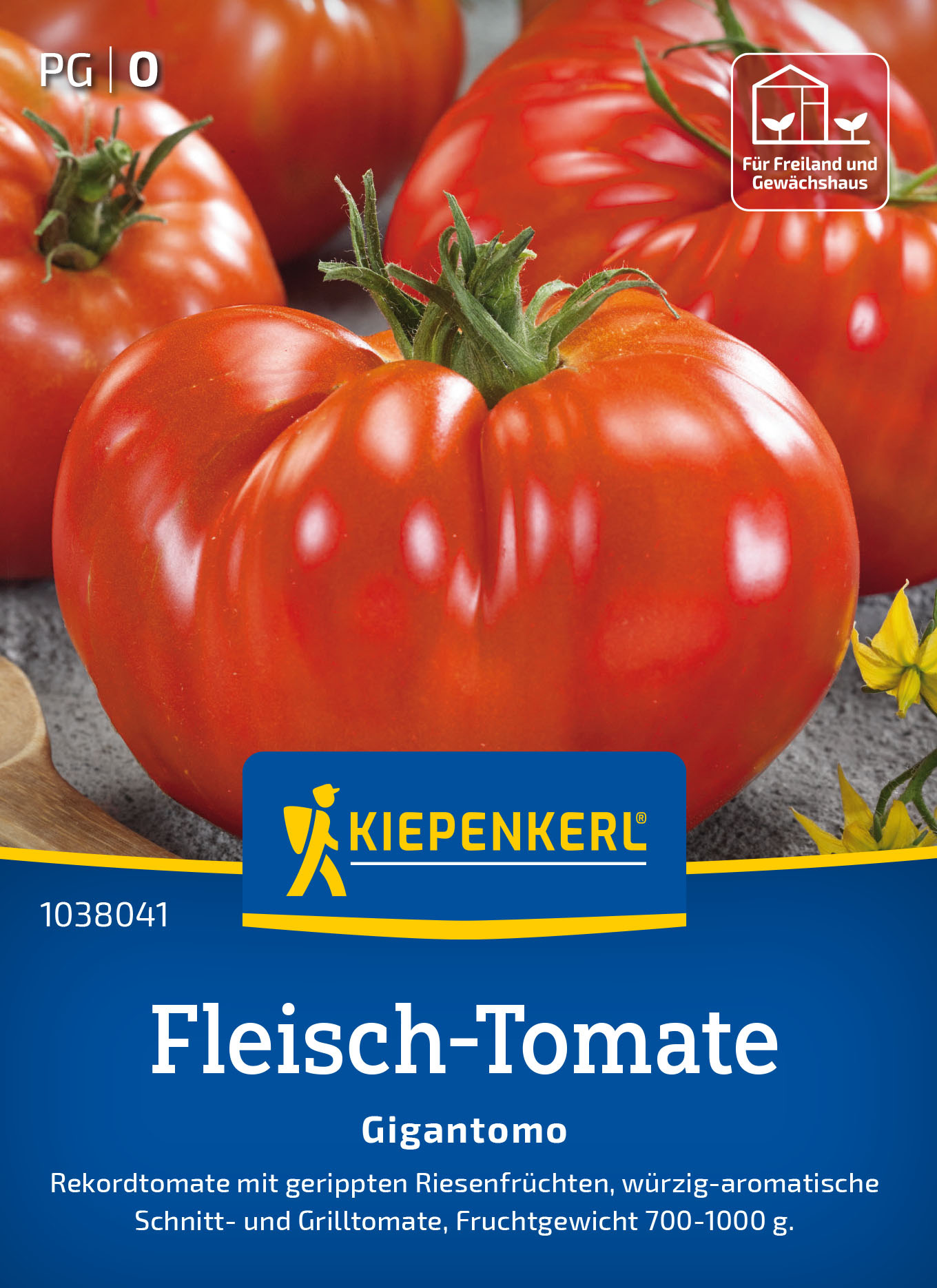 Fleisch-Tomatensamen Gigantomo, F1