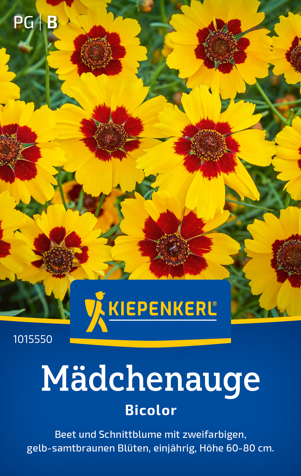 Mädchenaugensamen Bicolor