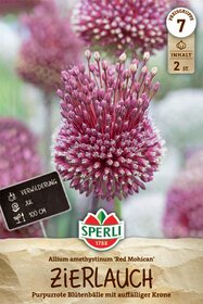 Zierlauch Red Mohican