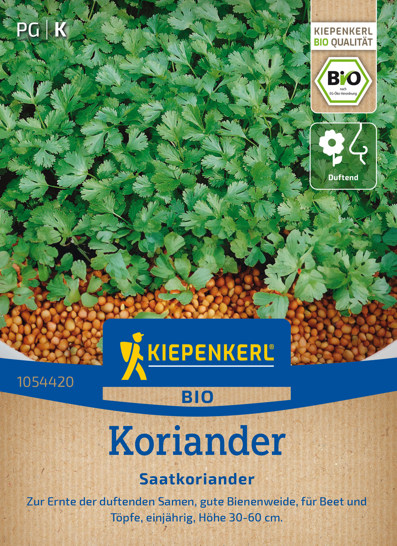 BIO Koriandersamen Saatkoriander