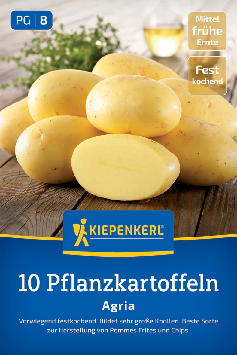 Pflanzkartoffel Agria, 10 Stück