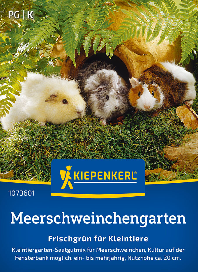 Meerschweinchen-Wiesensamen Grünfutter-Pflanzen