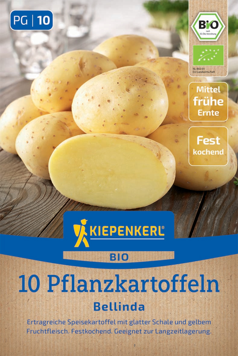 BIO-Pflanzkartoffel Bellinda, 10 Stück
