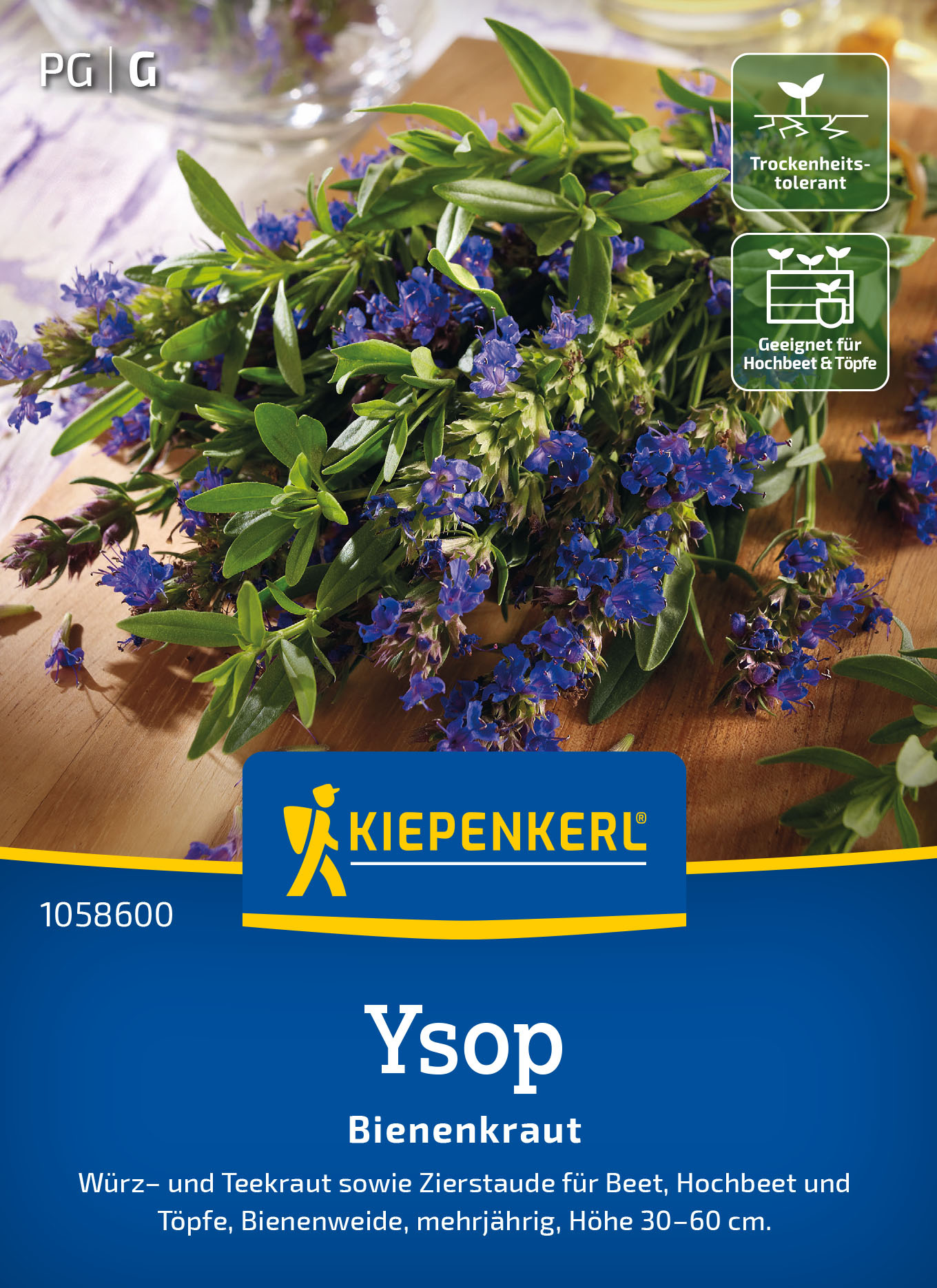 Ysopsamen Bienenkraut