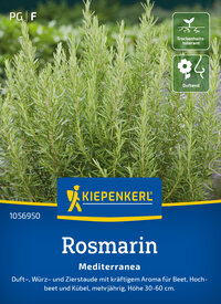 Rosmarinsamen Mediterranea