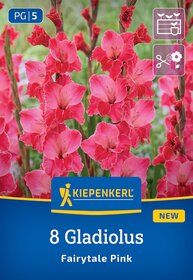 Pink Gladiolus flowers with green background in a garden setting.