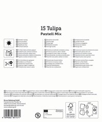 Mega-Pack Triumph-Tulpe Pastell Farbenspiel