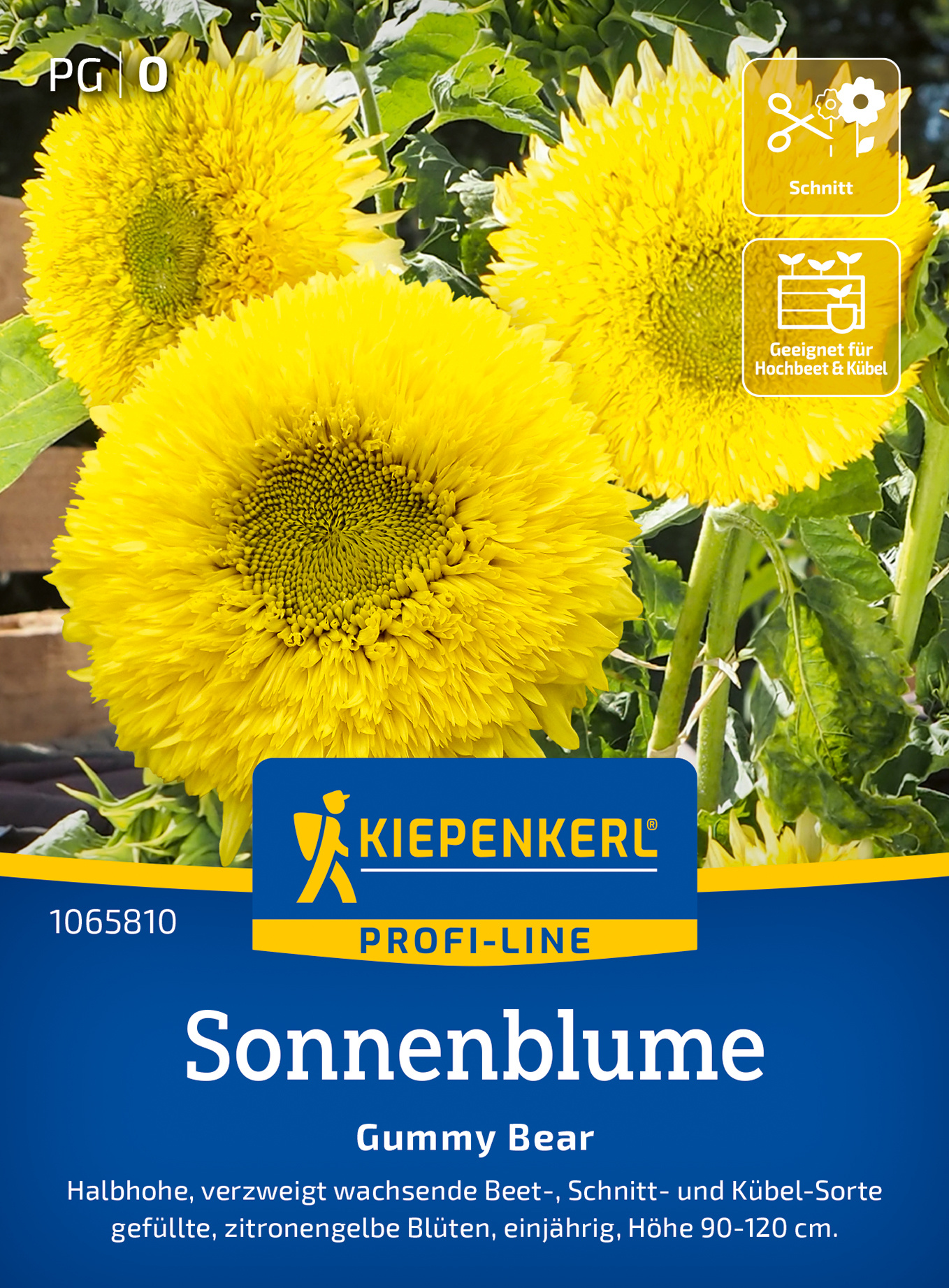Sonnenblumensamen Gummy Bear