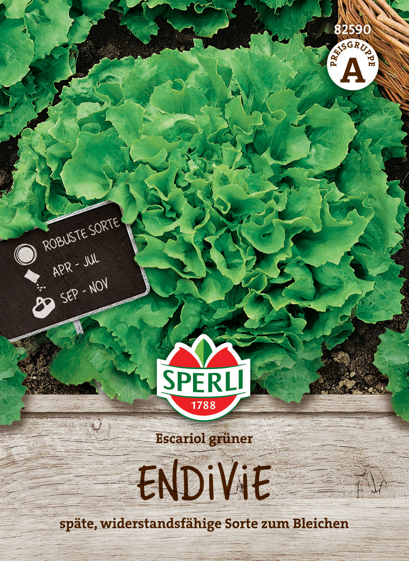 Endiviensamen Escariol grüner