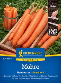 Frisch geerntene Karotten auf einem Holztablett, daneben ein Glas mit geschnittenen Karotten, im Hintergrund Blätter.
