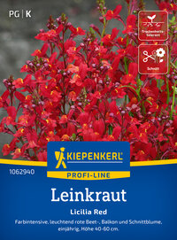 Leinkrautsamen Licilia Red