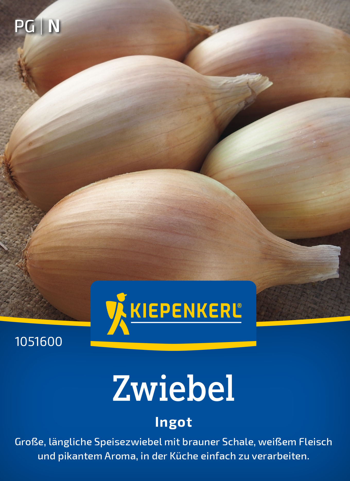 Zwiebelsamen Ingot, F1 