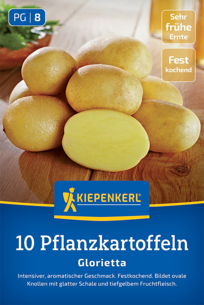 Pflanzkartoffel  Glorietta, 10 Stück