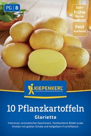 Pflanzkartoffel  Glorietta, 10 Stück