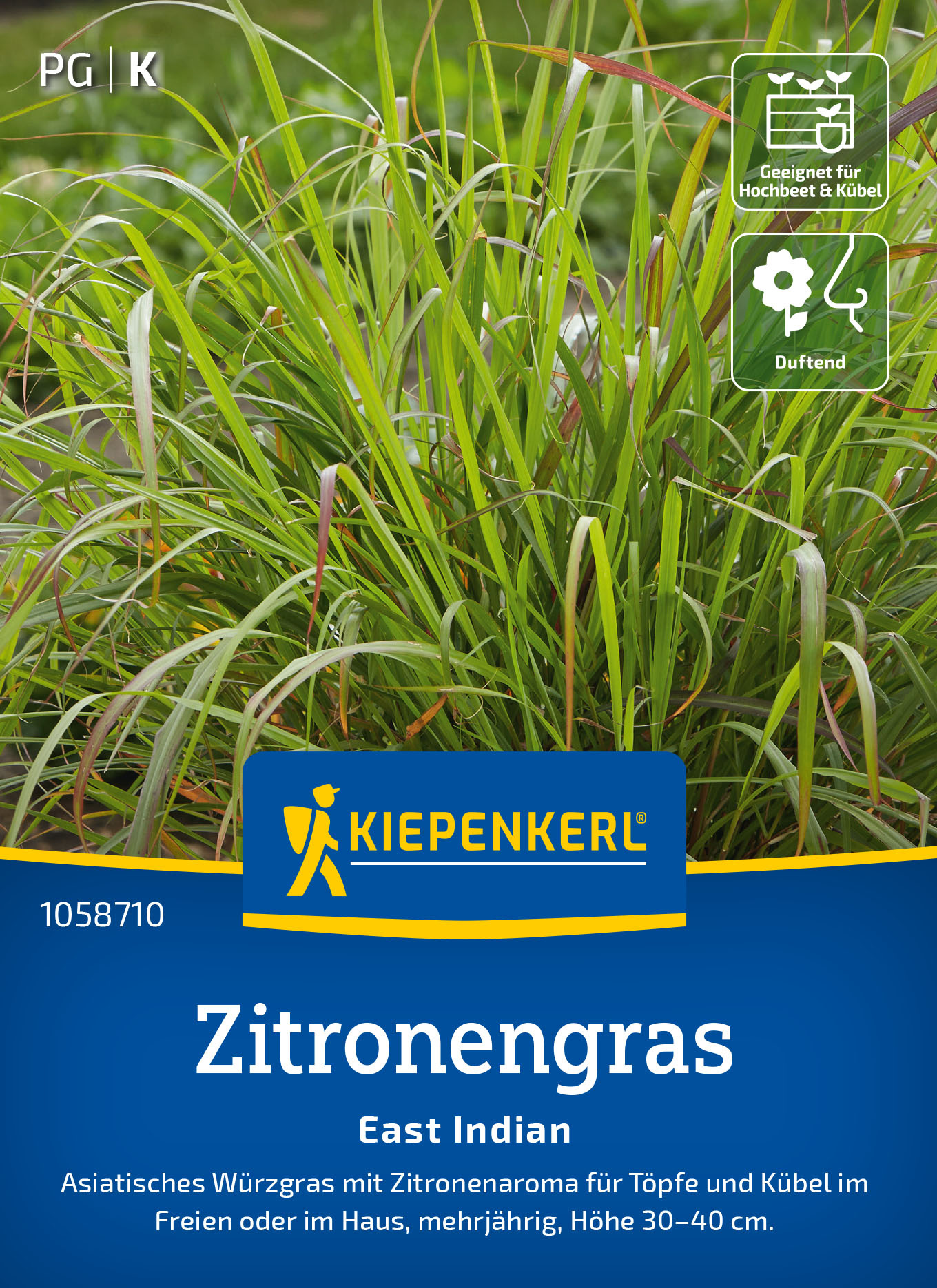 Zitronengrassamen East Indian