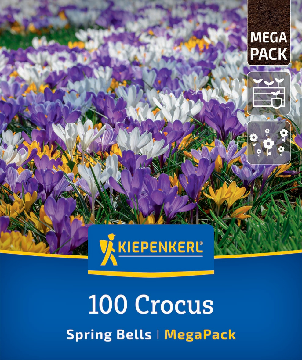 Mega-Pack Gartenkrokusse Mischung Spring Bells