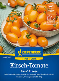 Kirsch-Tomatensamen Pano Orange®, F1 