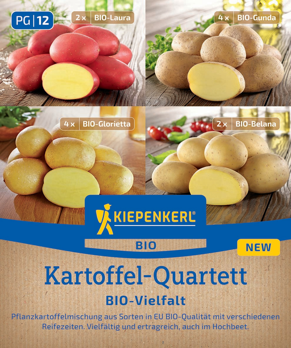 BIO-Kartoffelquartett Vielfalt