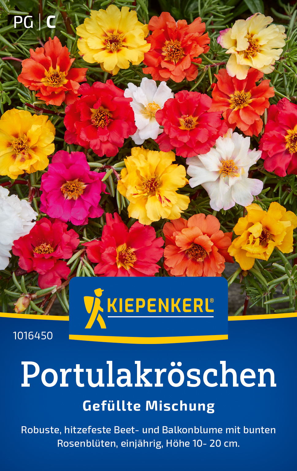 Portulakröschensamen Gefüllte Mischung