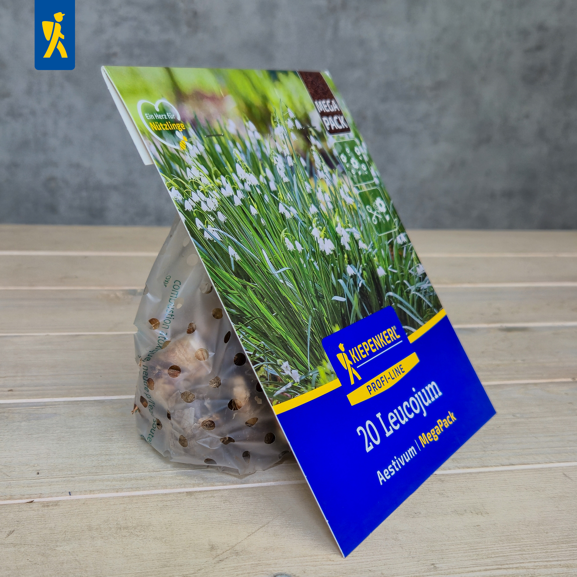 Paket mit 20 Leucogen Aestivum Tabletten auf Holztisch mit grauem Hintergrund.