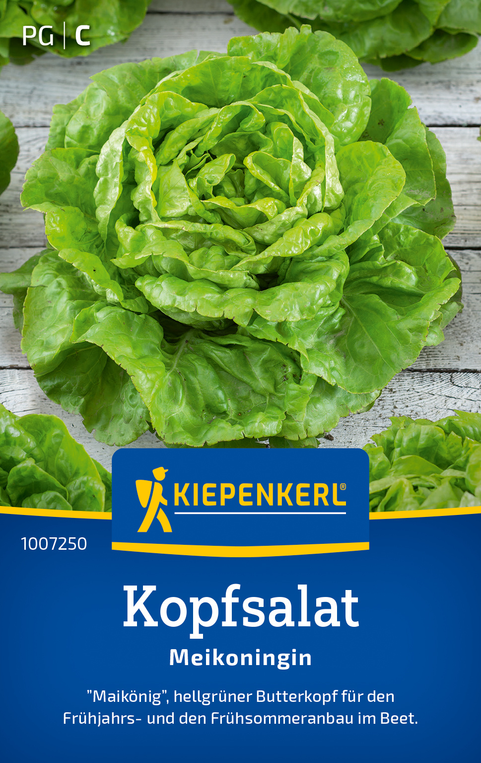 Kopfsalatsamen Meikoningin