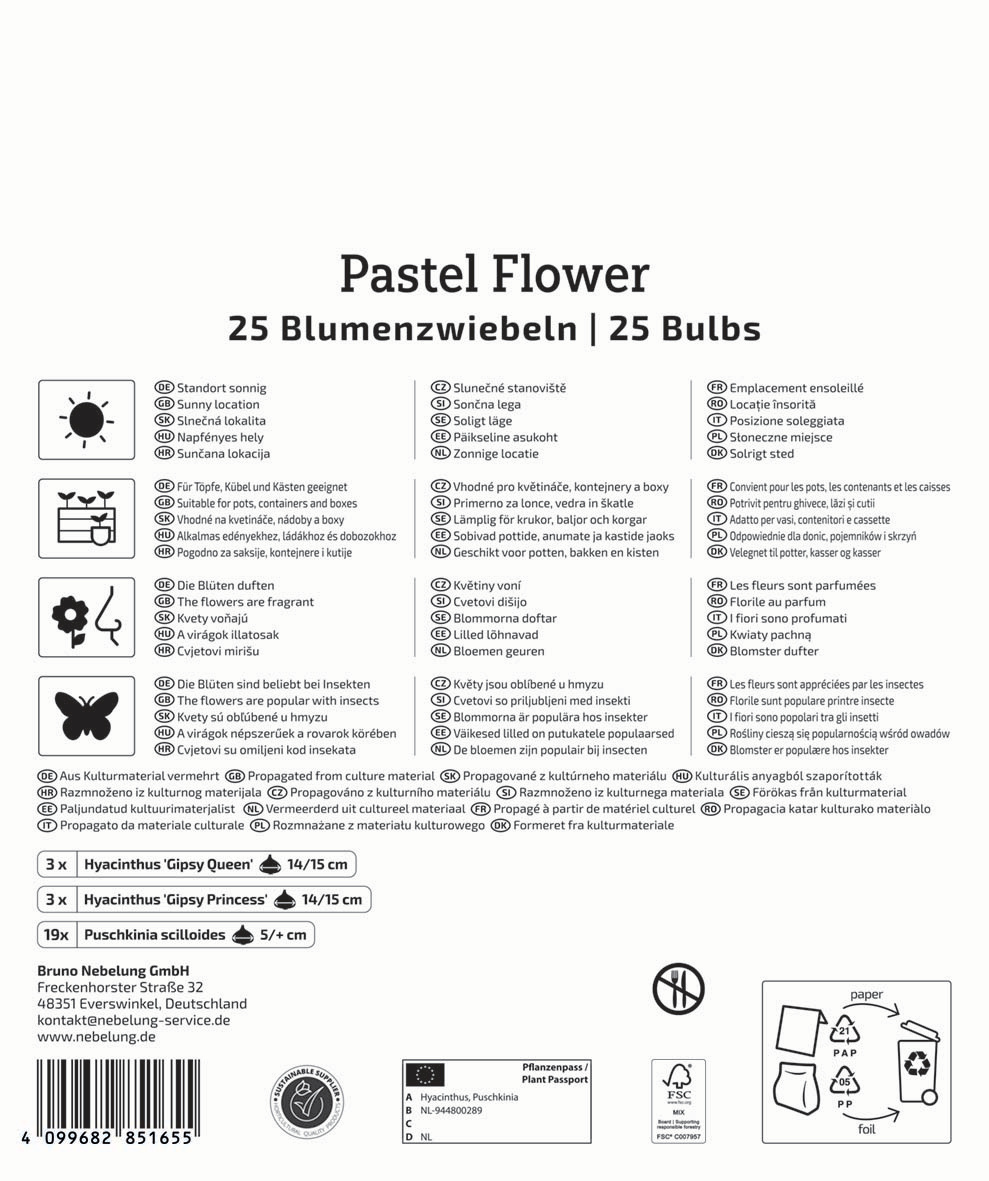 Mega-Pack Blumenzwiebelmischung Pastel Flower