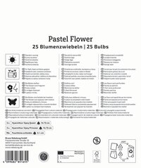 Mega-Pack Blumenzwiebelmischung Pastel Flower