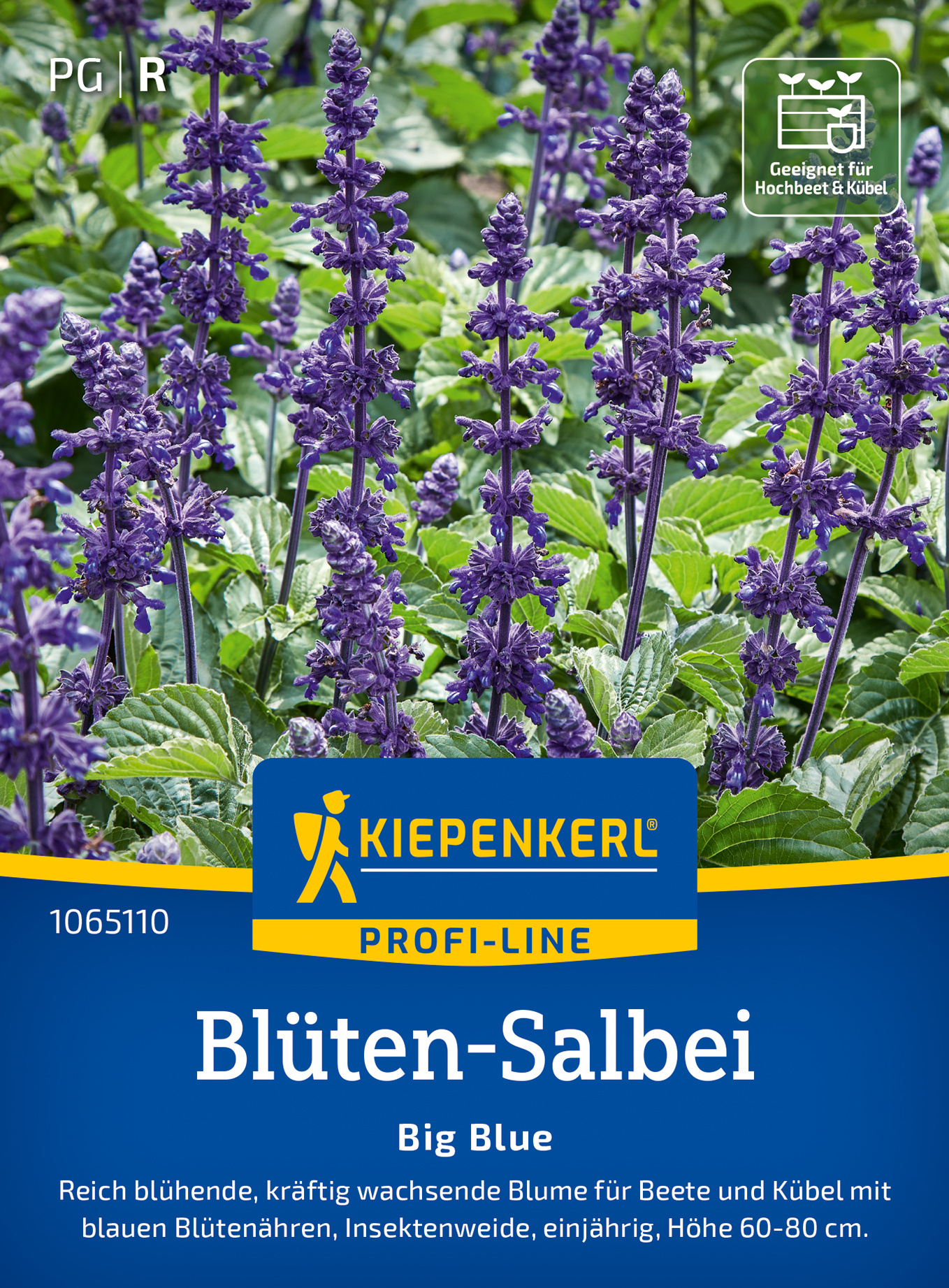 Blüten-Salbeisamen Big Blue, F1