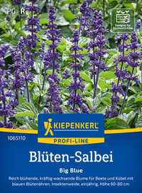 Blüten-Salbeisamen Big Blue, F1