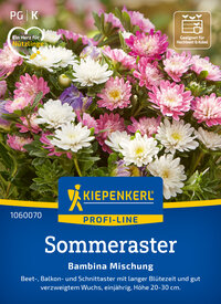Bunte Sommerblumen Mischung aus weißen, pinken und lila Blüten, für Balkon und Beet, Höhe 20-30 cm.