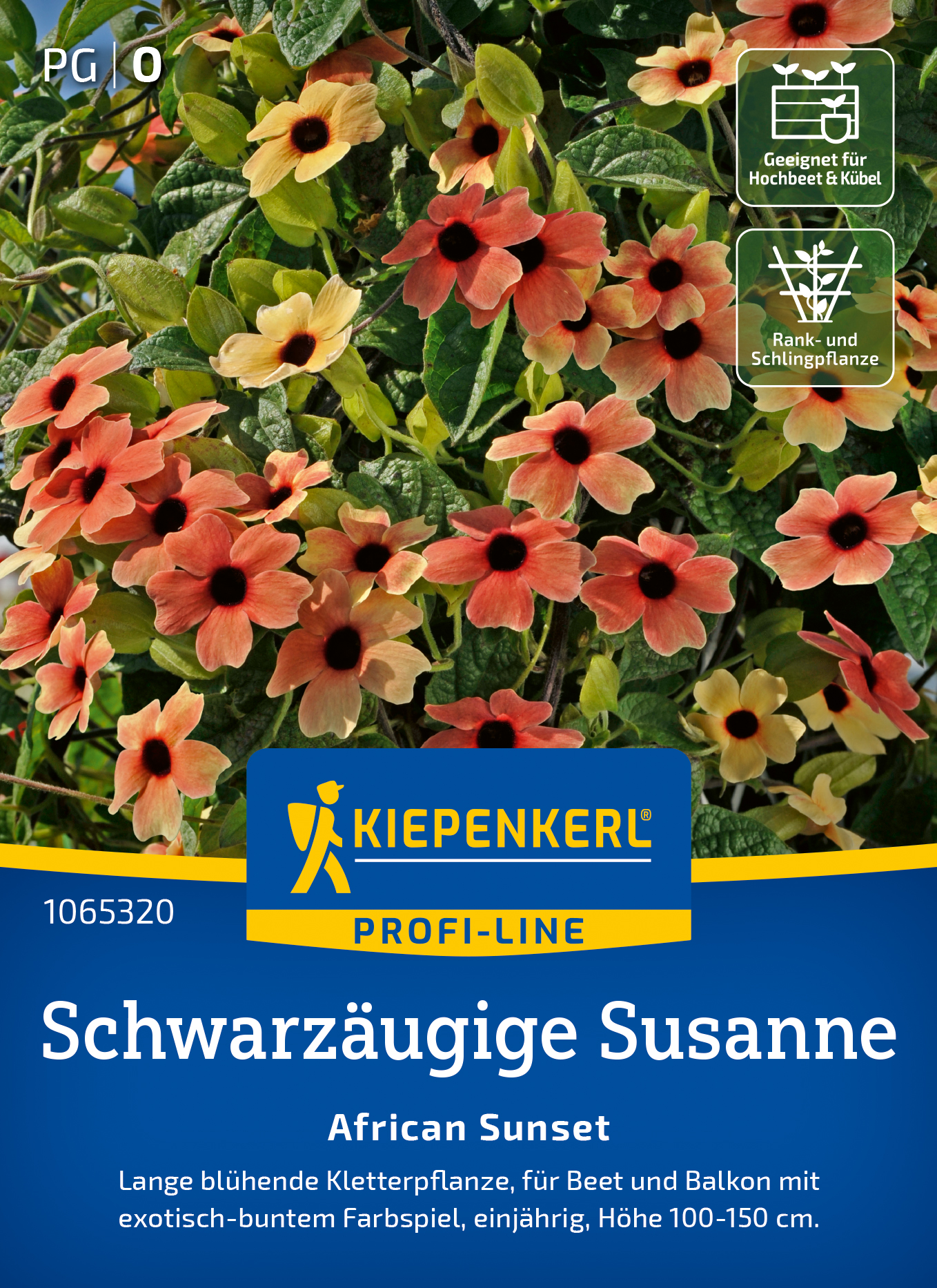 Schwarzugige Susanne African Sunset