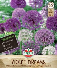 Frühlingsgarten Violet Dreams