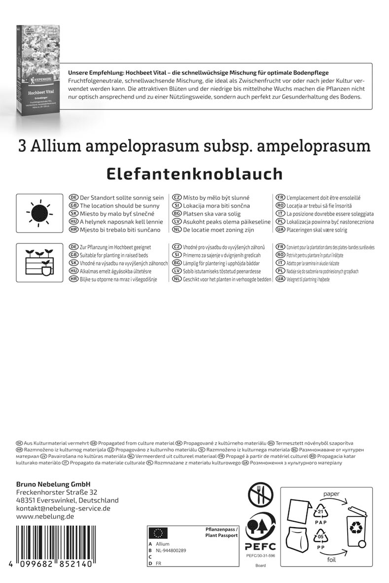 Elefantenknoblauch