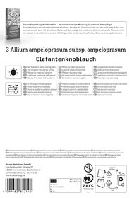 Elefantenknoblauch