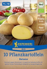 Mehrere glatte, gelbe Pflanzkartoffeln auf einem Holztablett, im Hintergrund Tomaten und Basilikum.
