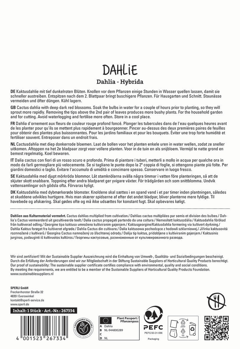 Text auf der Verpackungsrückseite mit Anbau- und Pflegehinweisen für Dahlien in mehreren Sprachen.