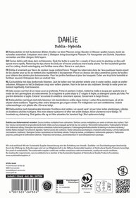 Text auf der Verpackungsrückseite mit Anbau- und Pflegehinweisen für Dahlien in mehreren Sprachen.