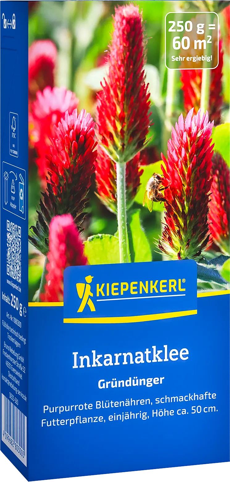 Inkarnatklee, 0,25 kg