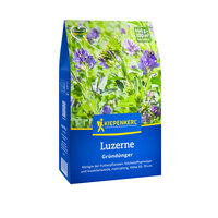 Blumentopf mit blauen und grünen Pflanzen und lilafarbenen Blüten, Kiepenkerl Luzerne Gründünger auf blauem Hintergrund.