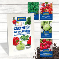 Verschiedene Gemüsesaatgutpäckchen Radieschen Kohlrabi Paprika und Blattsalat auf weißem Holz.