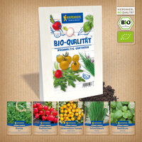 Verschiedene Bio-Saatgutpackungen für Radieschen, Rucola, Schnittlauch und Johannisbeer-Tomate auf weißem Holztisch.