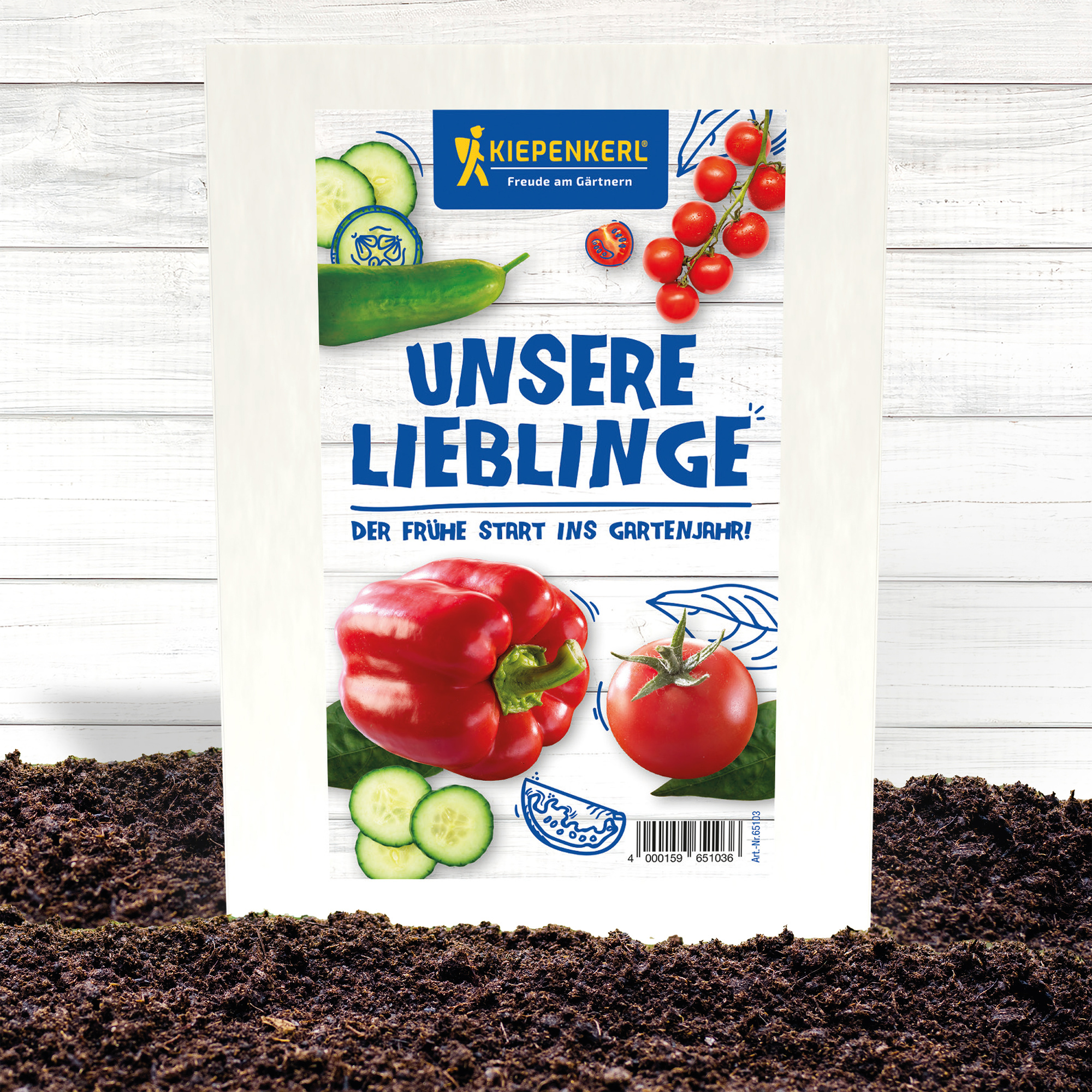 Pflanzen-Samenpäckchen mit Tomaten, Gurken und Paprika auf Bodenerde auf weißem Holzhintergrund