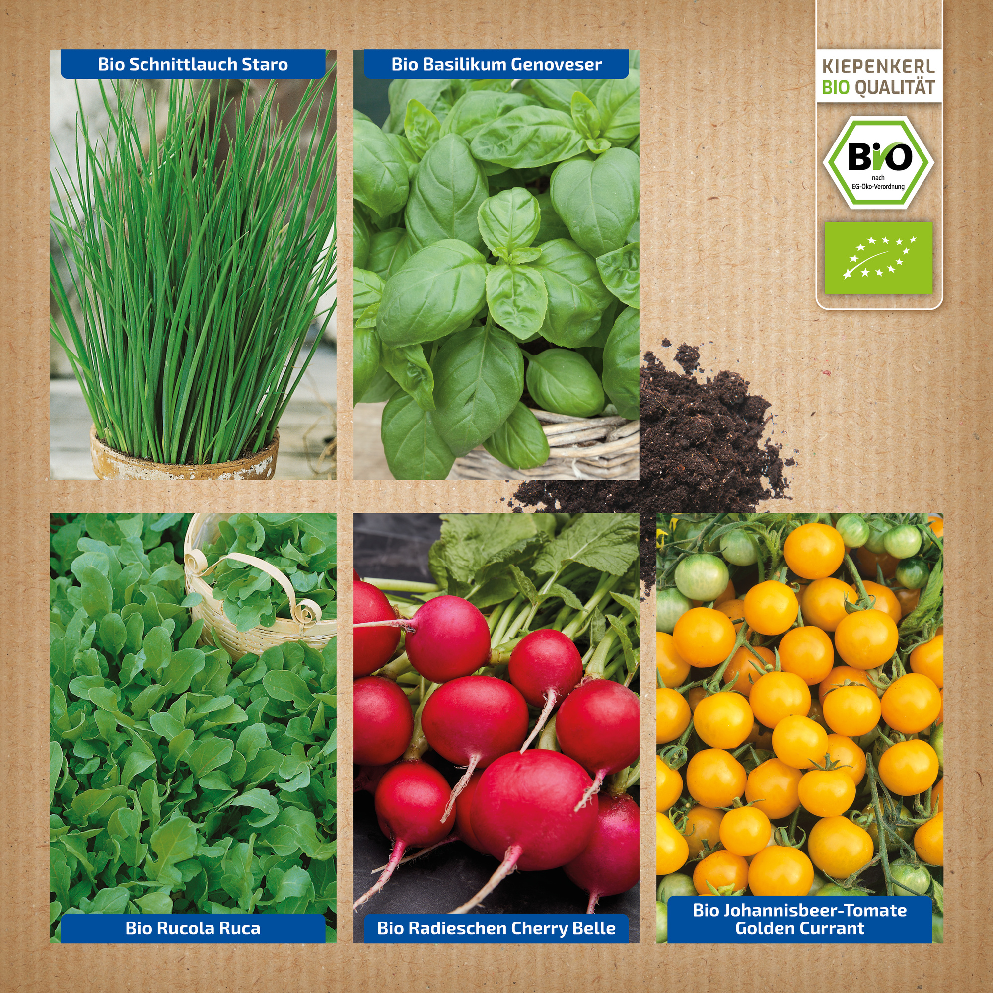 Saatgutpaket mit Tomaten, Radieschen, Basilikum und Schnittlauch auf weißem Holzuntergrund stehend.
