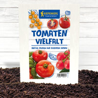Pappkarton mit Tomatensamen, auf Erde vor weißem Holz, mit Tomatenbildern und Kiepenkerl Logo.