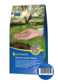 Hand hält Saatgut vor grüner Parklandschaft mit Baum und Sonnenlicht, Verpackung eines Rasensaatguts.