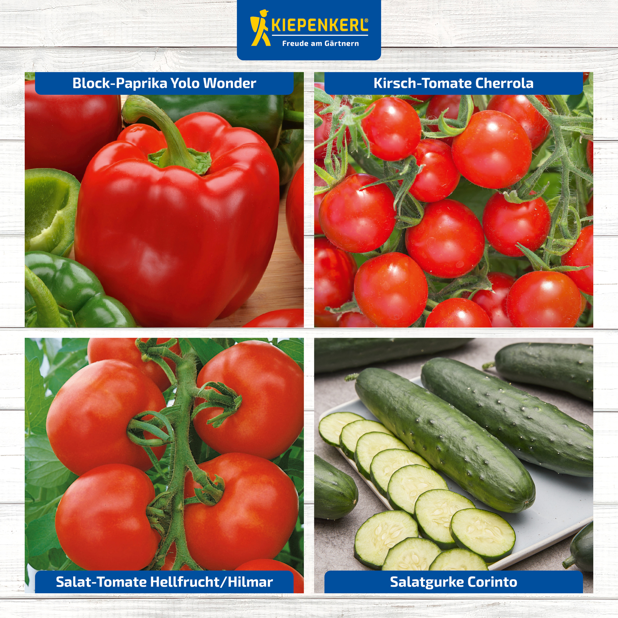 Verschiedene Gemüsesorten: Paprika, Kirschtomaten, Fleischtomaten, Gurken.