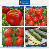 Verschiedene Gemüsesorten: Paprika, Kirschtomaten, Fleischtomaten, Gurken.