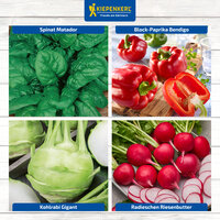Verschiedene Gemüsesorten, darunter Spinat, Paprika, Kohlrabi und Radieschen, auf einem Markt.