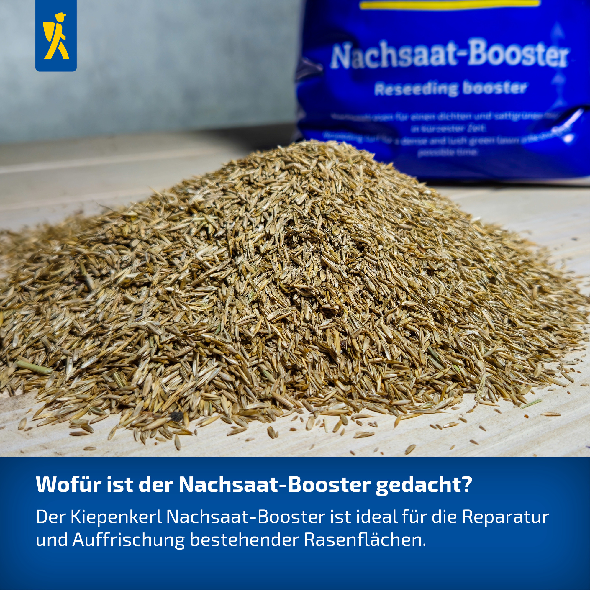 Kiepenkerl Rasen Nachsaat-Booster, 0,8 kg